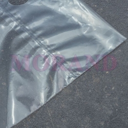 Woreczek torebka folia PE 50mic uchwyt 320x320 1000 szt